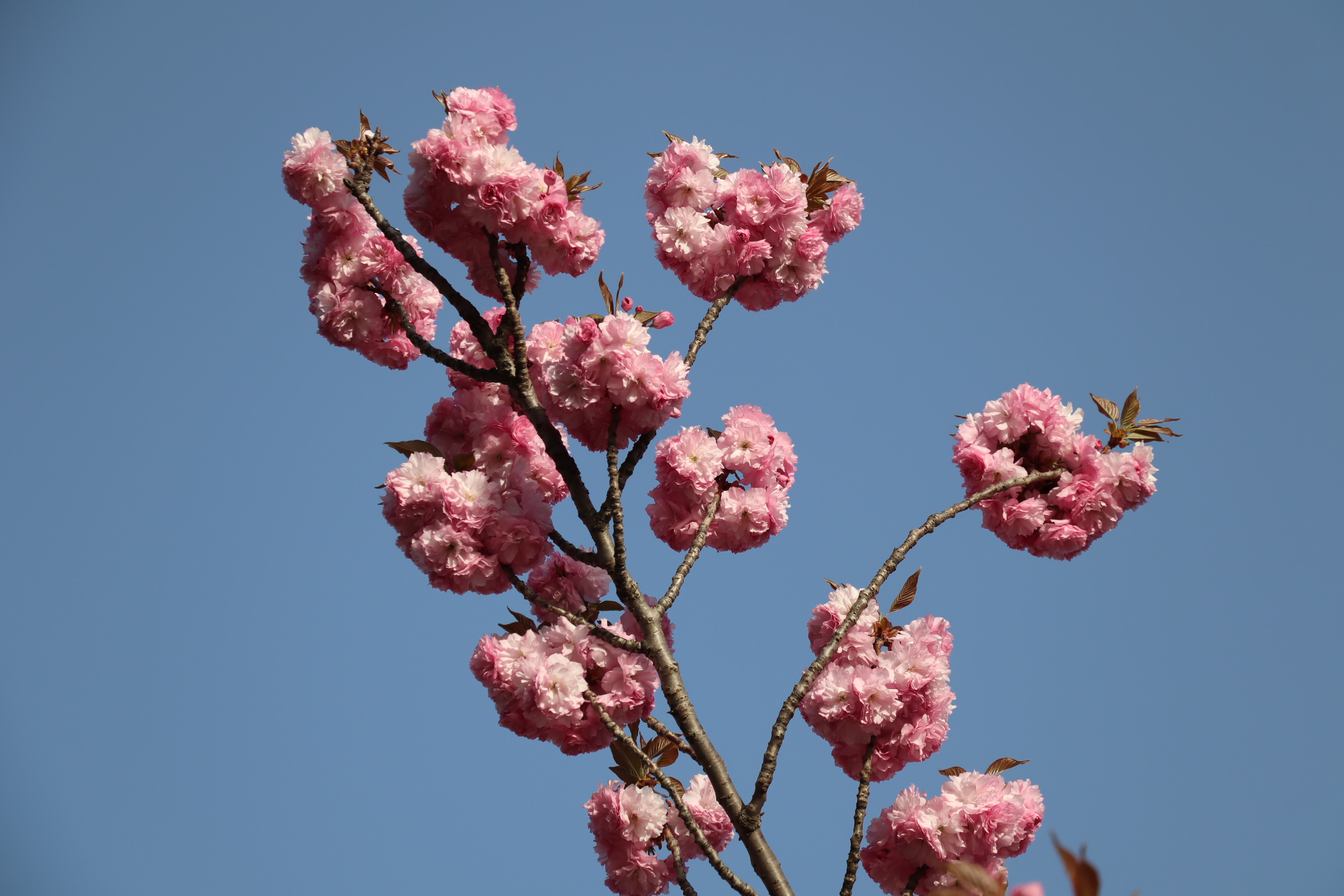 경주 여행 관련
