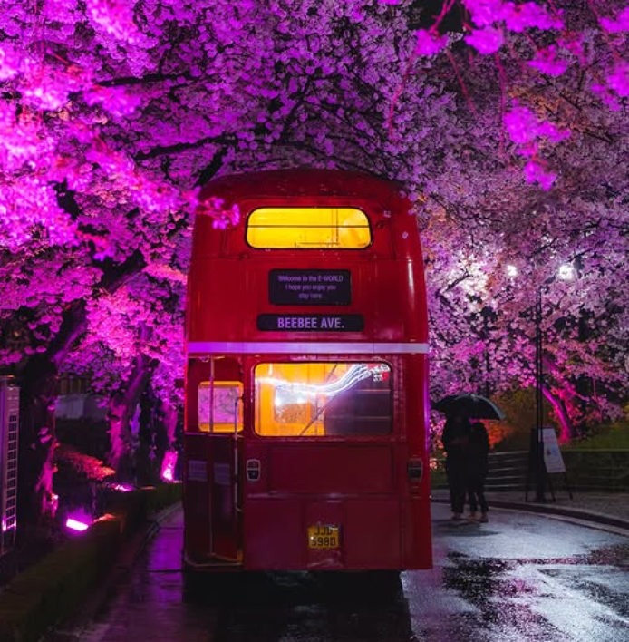 대구 이월드 자유이용권 할인