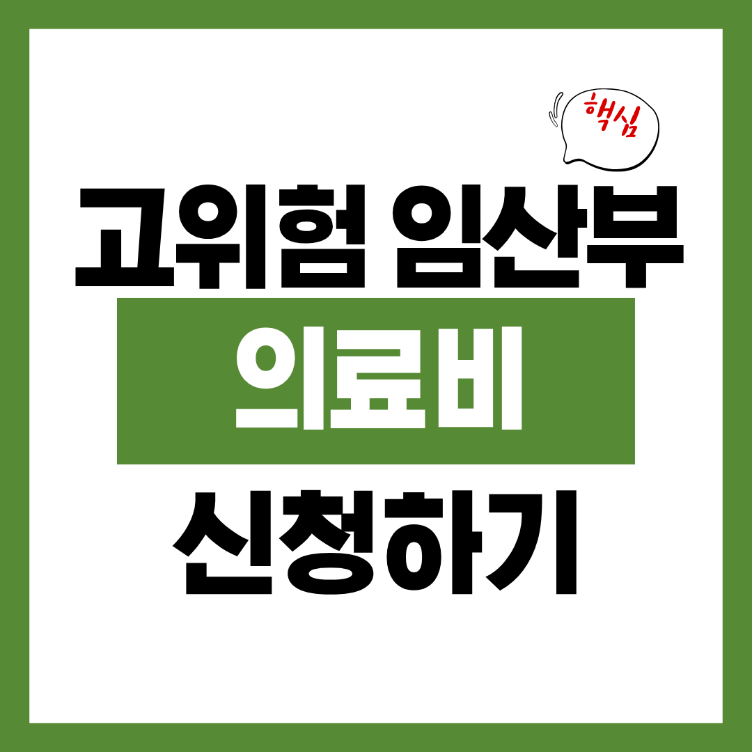 고위험 임산부 의료비 지원 대상 질환 알아보고 바로 신청하기
