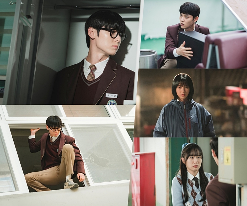 스터디그룹 주연배우