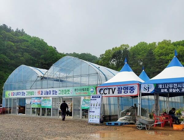 용인시산림조합 나무시장 모습