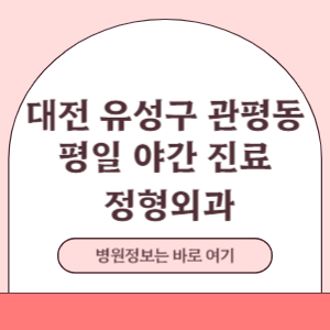 대전 유성구 관평동 평일 야간진료 정형외과 진료 병원