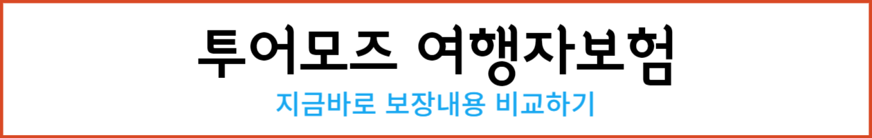 투어모즈 여행자보험_-001