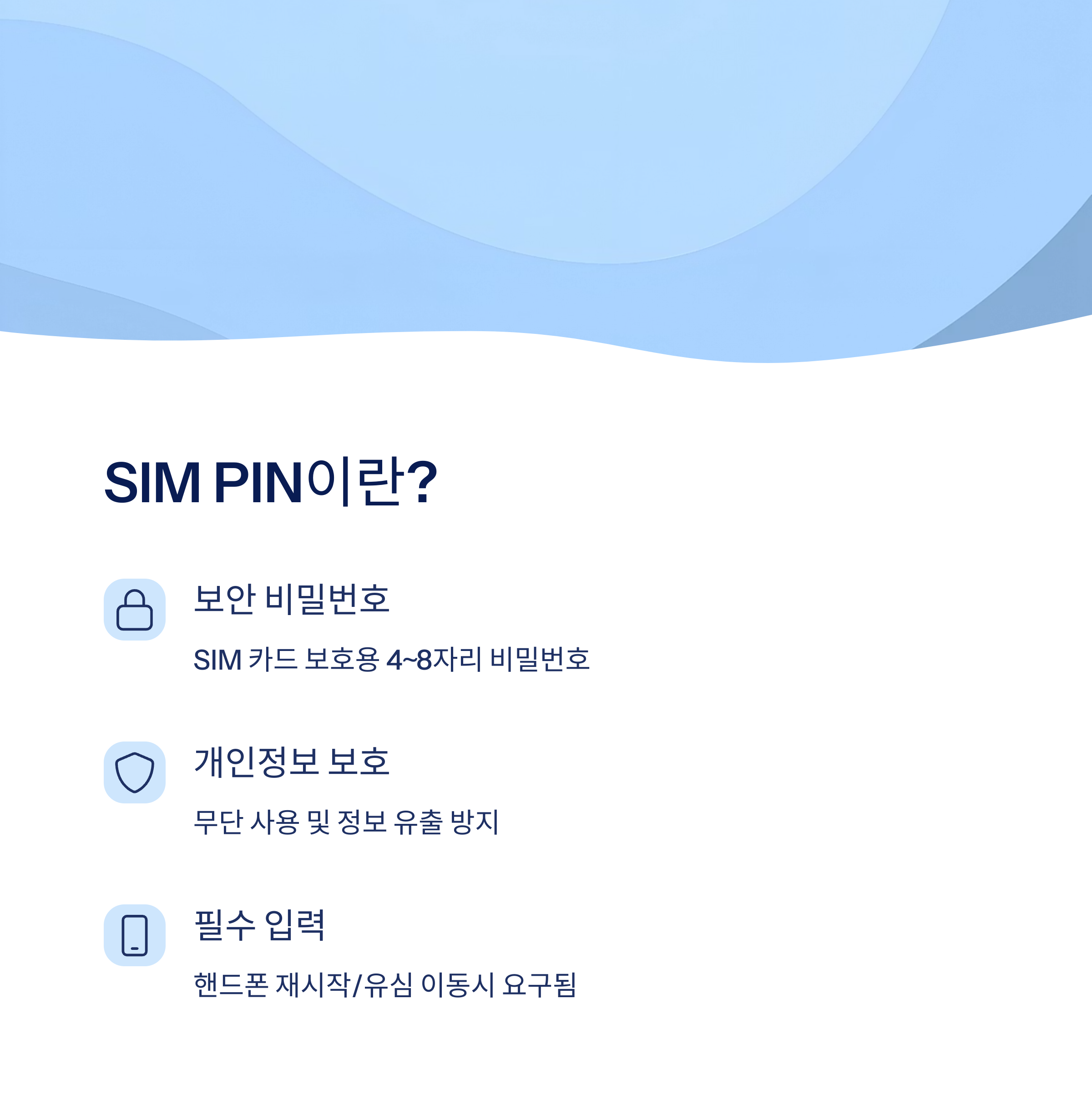 SIM PIN이란?