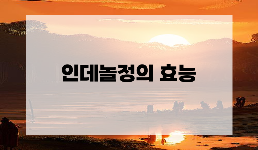 2. 인데놀정의 효능