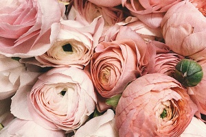 여자 연예인 꿈해몽 - 여자 연예인이 무대 공연하는 장면