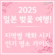 일본 벚꽃 개화 일정 및 명소