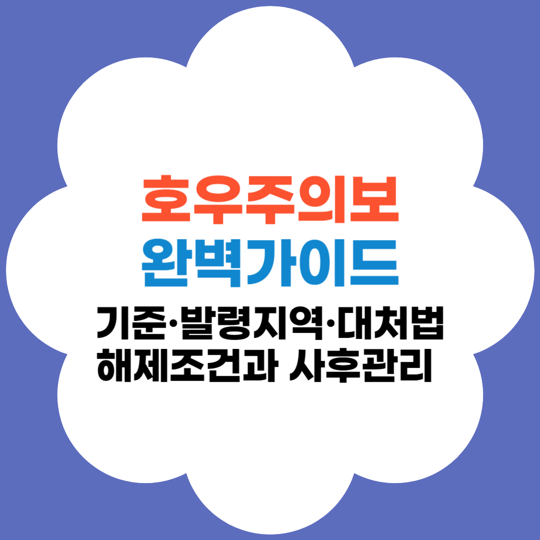 호우주의보 완벽가이드 썸네일