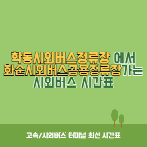 학동시외버스정류장에서 화순시외버스공용정류장 가는 시외버스 시간표 최신정보