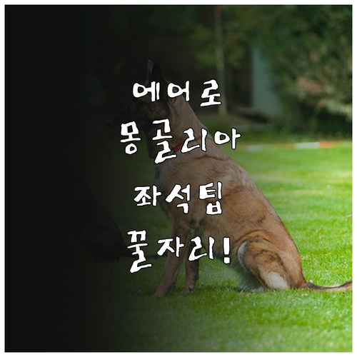 에어로 몽골리아 온라인 좌석 선택 방..