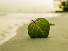 남이섬 배시간표 입장료