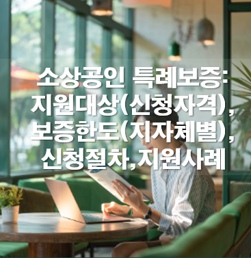 소상공인 특례보증: 지원대상(신청자격),보증한도(지자체별),신청절차,지원사례