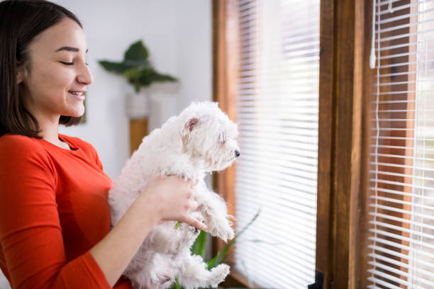 배변 훈련을 위한 용품
