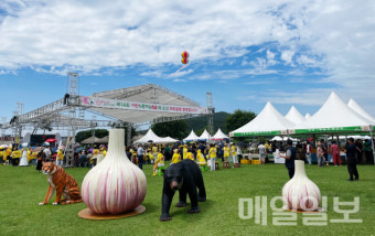 서산 감자축제&amp;#44; 서산 마늘축제
