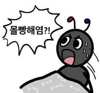 주식 몰빵 개미