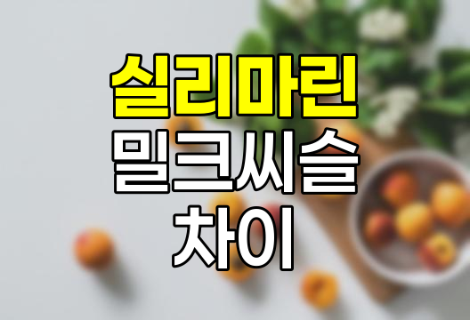 실리마린 vs 밀크씨슬, 차이점, 효능, 부작용, 복용법 완벽 정리 관련 정보