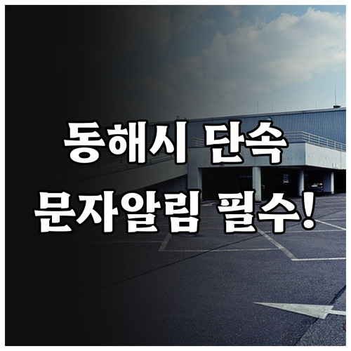동해시 주정차 단속 문자 알림 신청하..