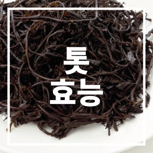 톳 효능