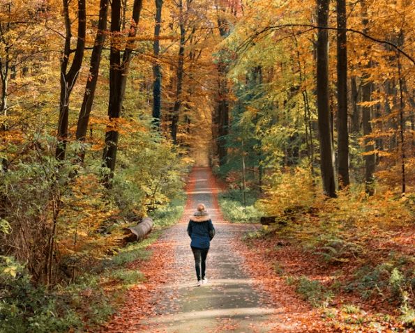 걷기 운동의 재발견: 올바른 자세 &발 관리 꿀팁