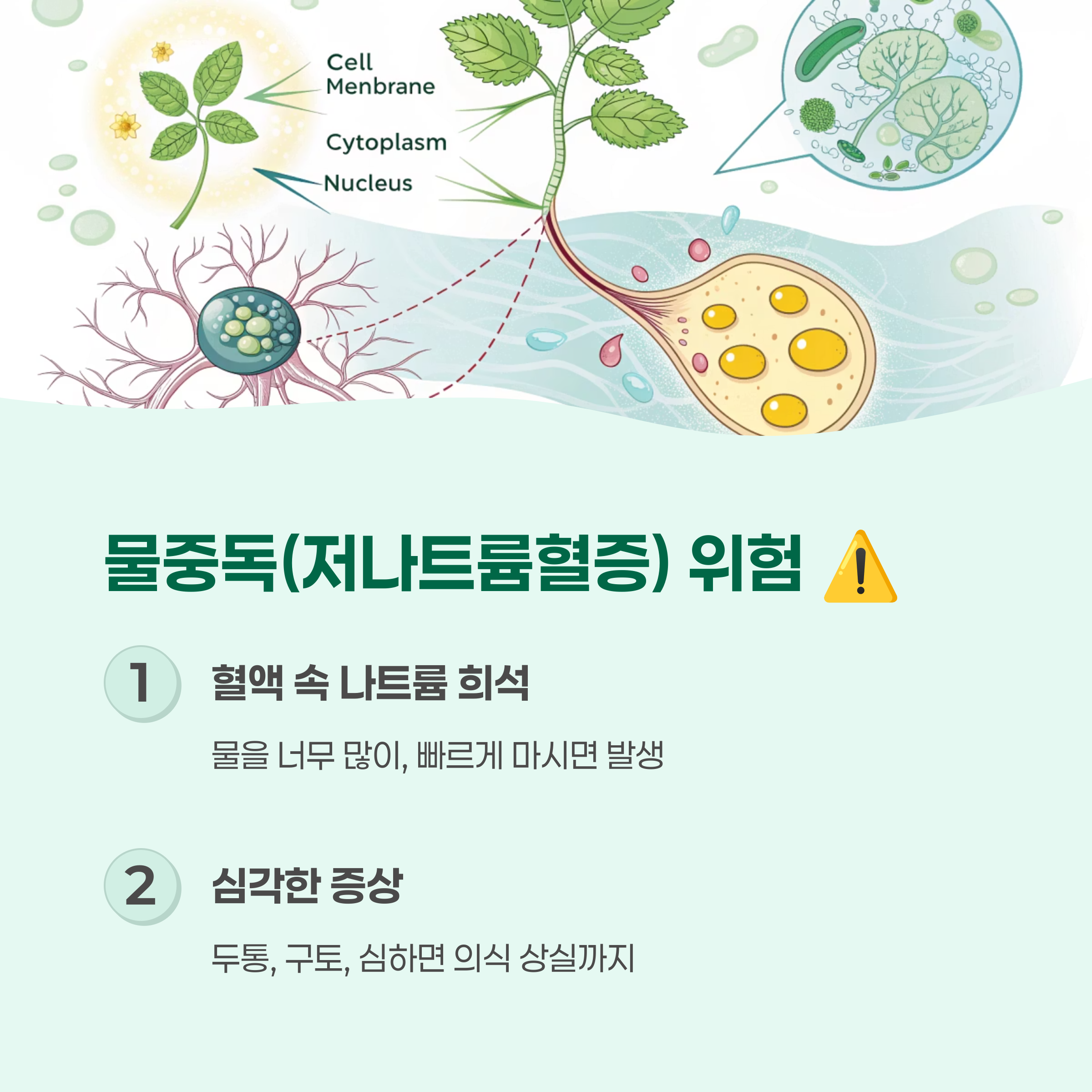 물중독 위험