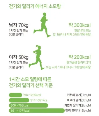 걷기 칼로리 계산기 걸음수 소비 칼로리_4