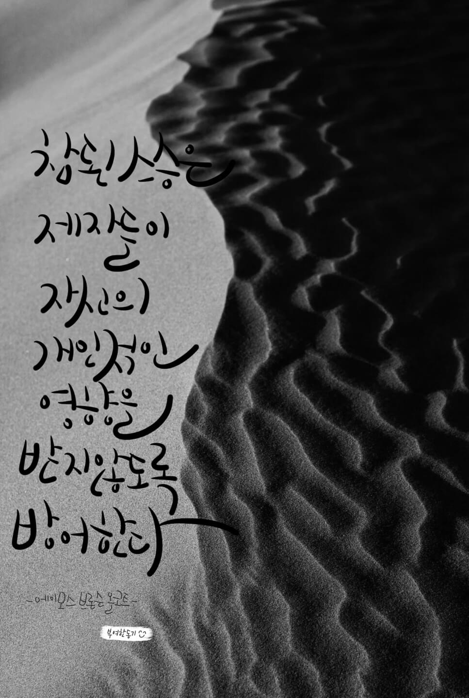 에이모스 브론슨 올코트