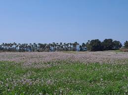 관련 여행지 사진이미지