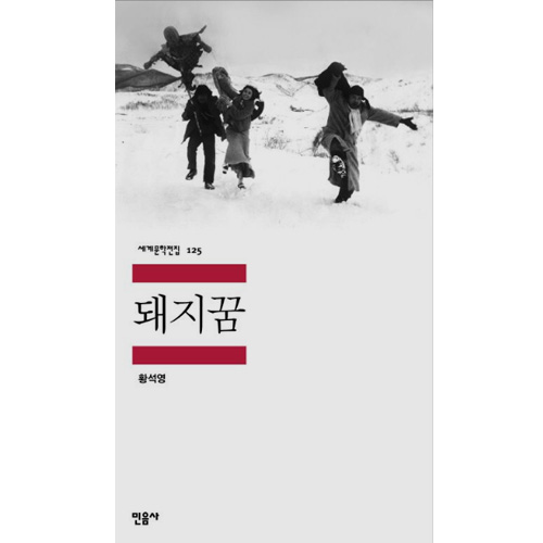 황석영- 돼지꿈