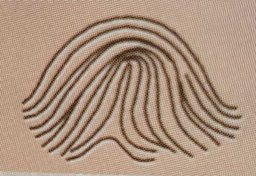 돌기형 활무늬 지문