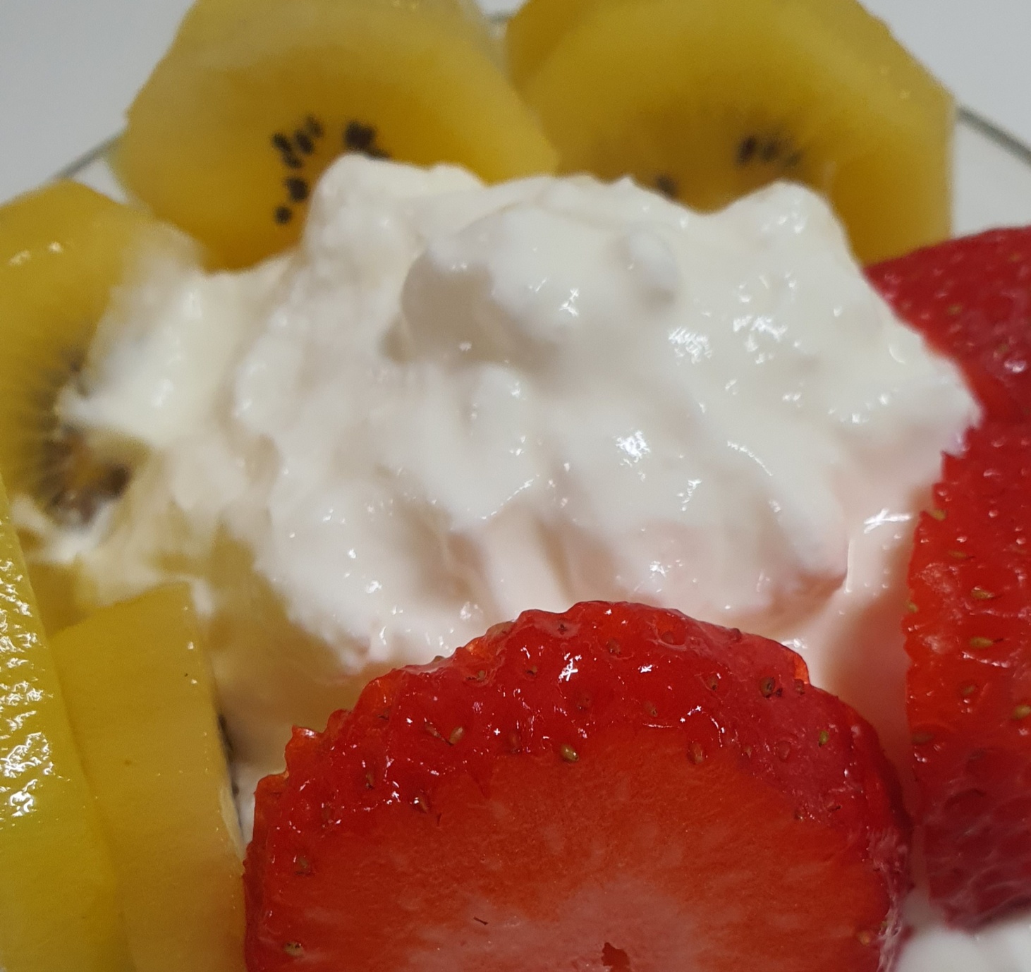 발효직후의 요거트