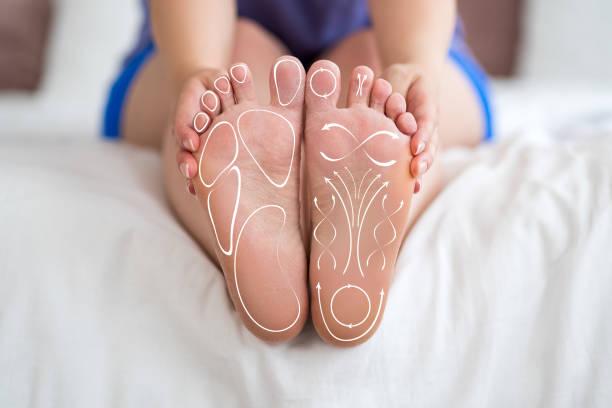 황토길 맨발 걷기의 과학적 원리 황토의 자연적인 마찰이 발바닥의 지압점을 자극하여 혈액순환 개선 근육피로를 줄이는 효과