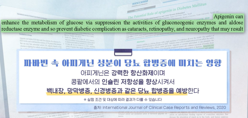 자이언트 파바빈