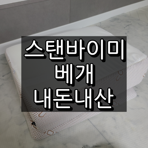 스탠바이미 역류성 식도염 베개 대표이미지