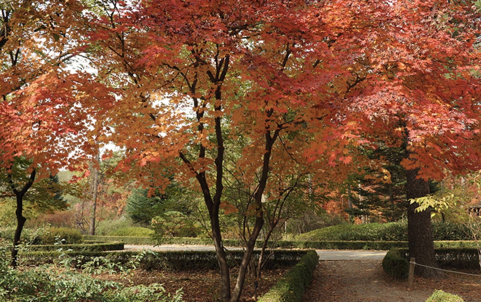 23년 아고다 11월 할인코드 + 경기도 단풍명소 BEST 05 가을 나들이 여행