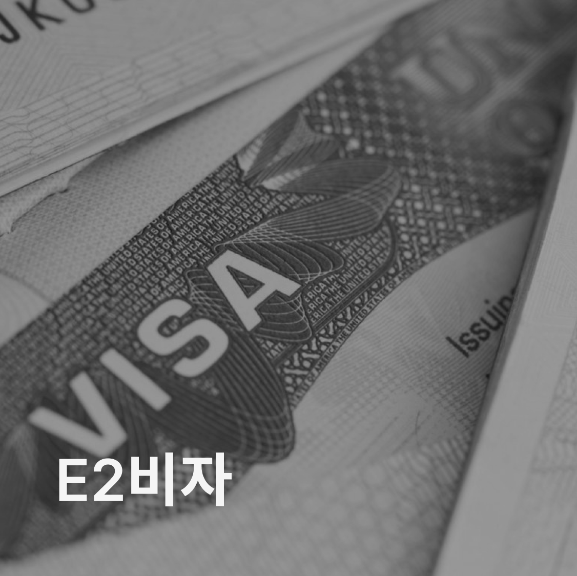 E2 비자