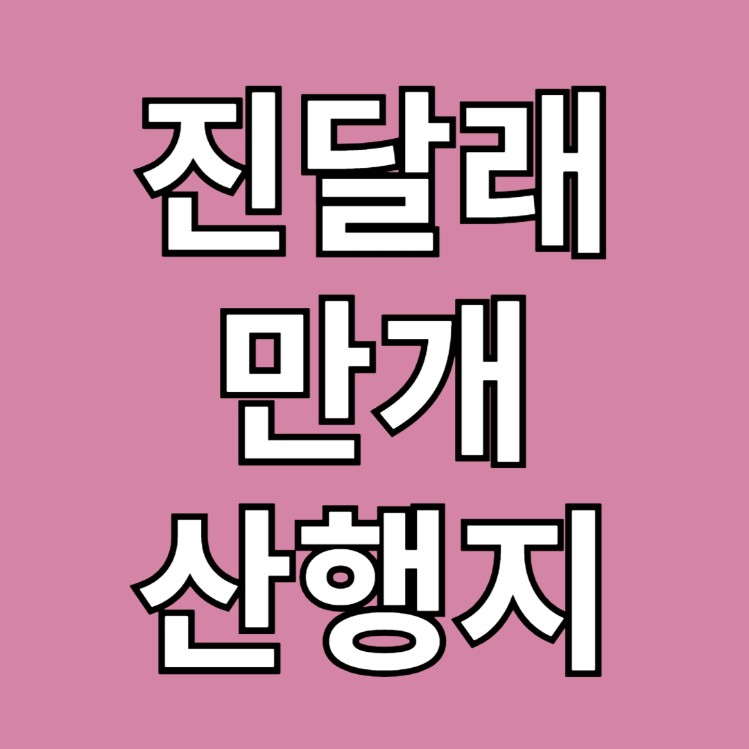 2025 진달래 만개 산행지 추천