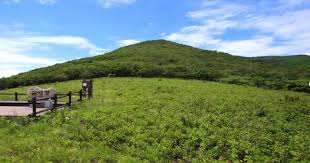 여름에 걷기 좋은 숲길 10