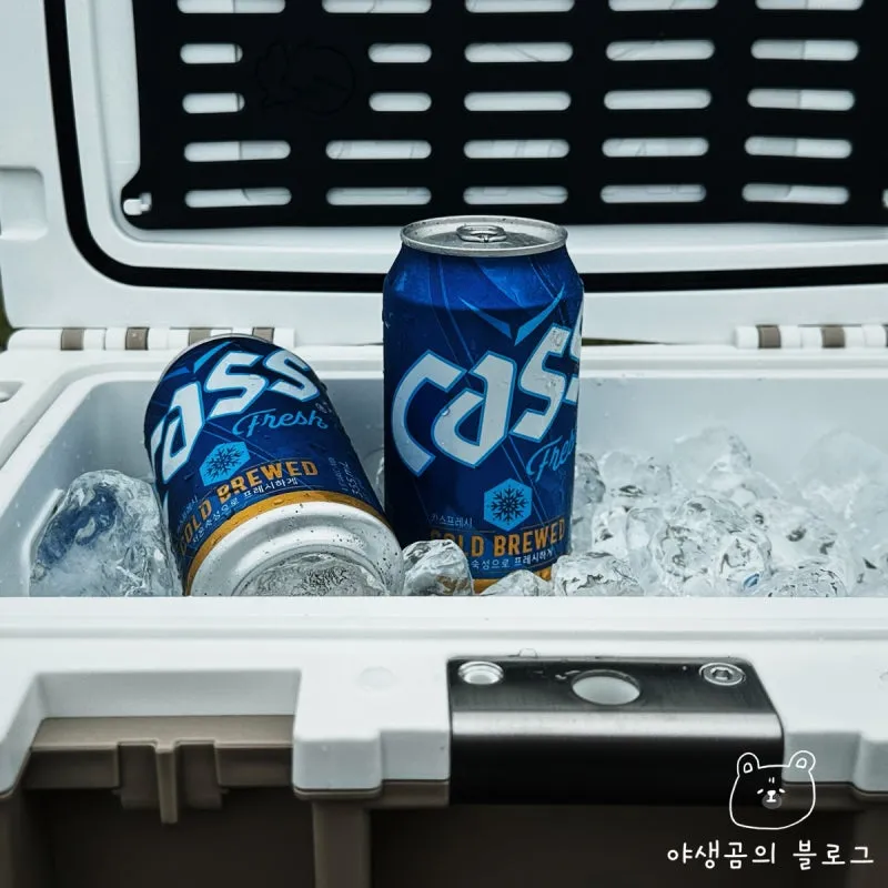 캠핑 쿨러 선택 하드형 소프트형 아이스팩 운용으로 보냉 효율 높이기_4