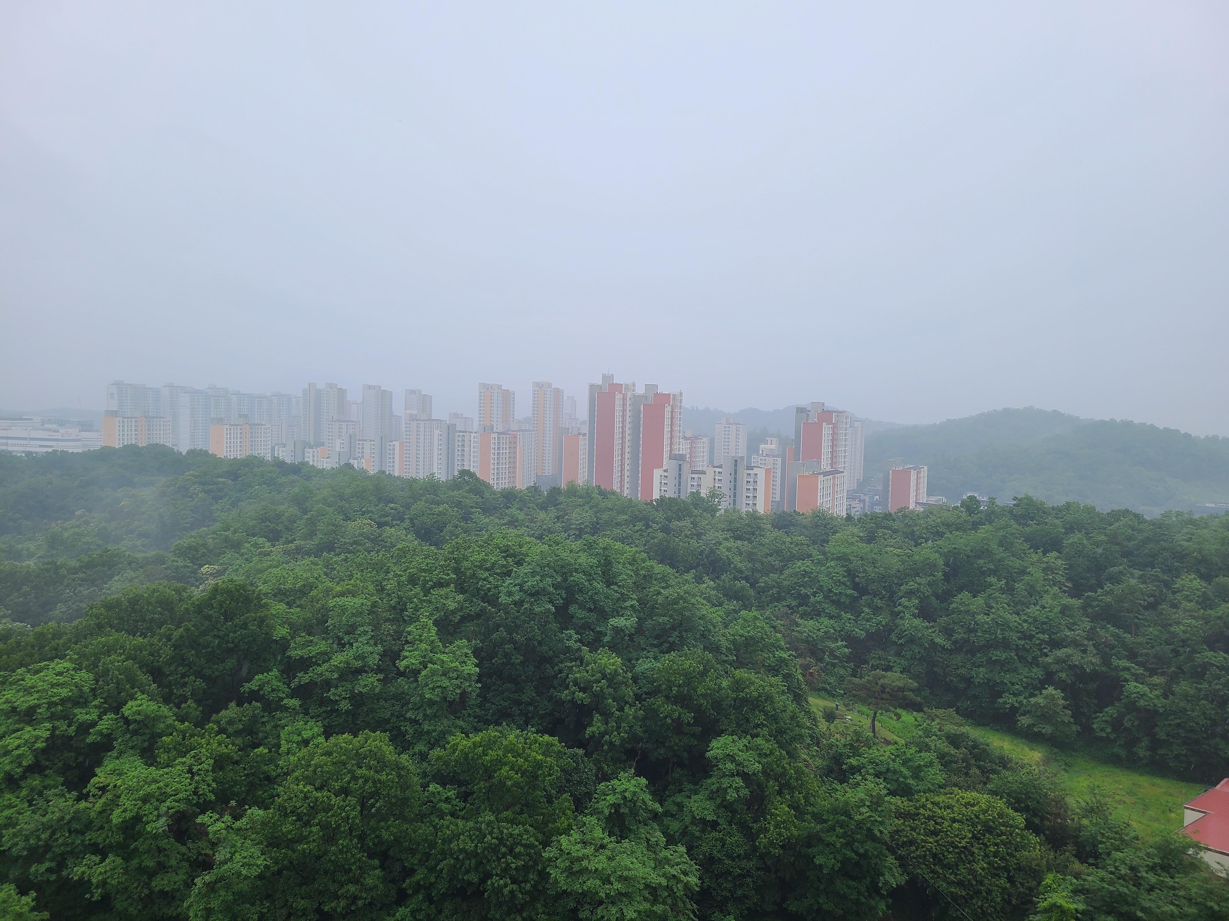 옥길 테크노밸리 옥상4