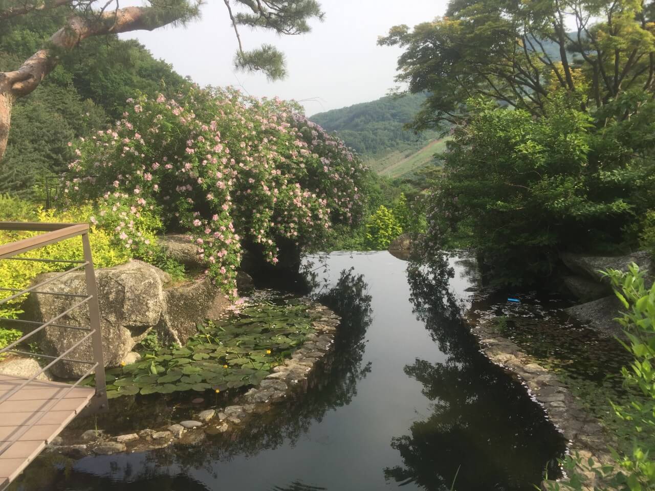 화담숲 예약