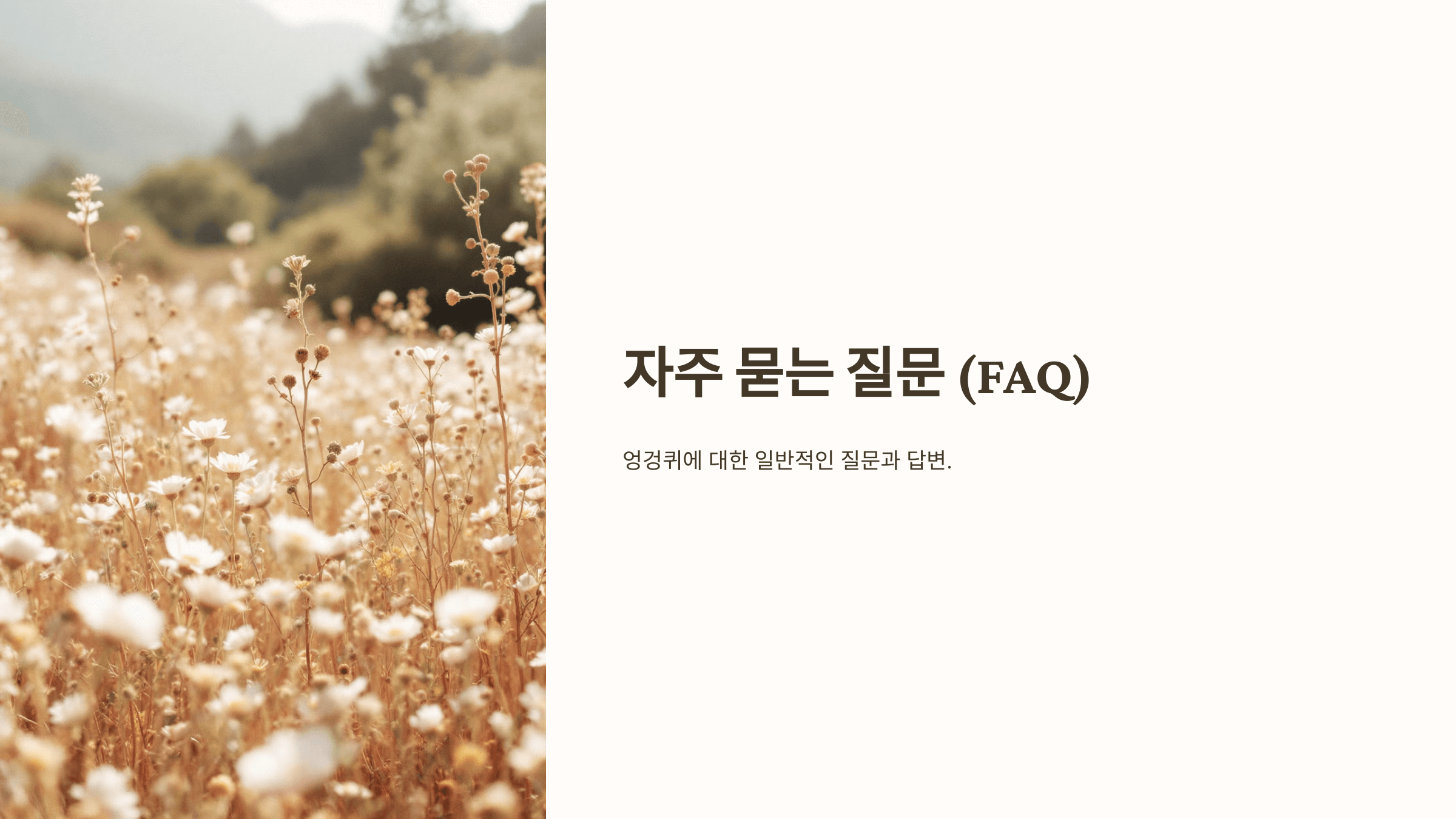 엉겅퀴와 관련된 사진입니다.