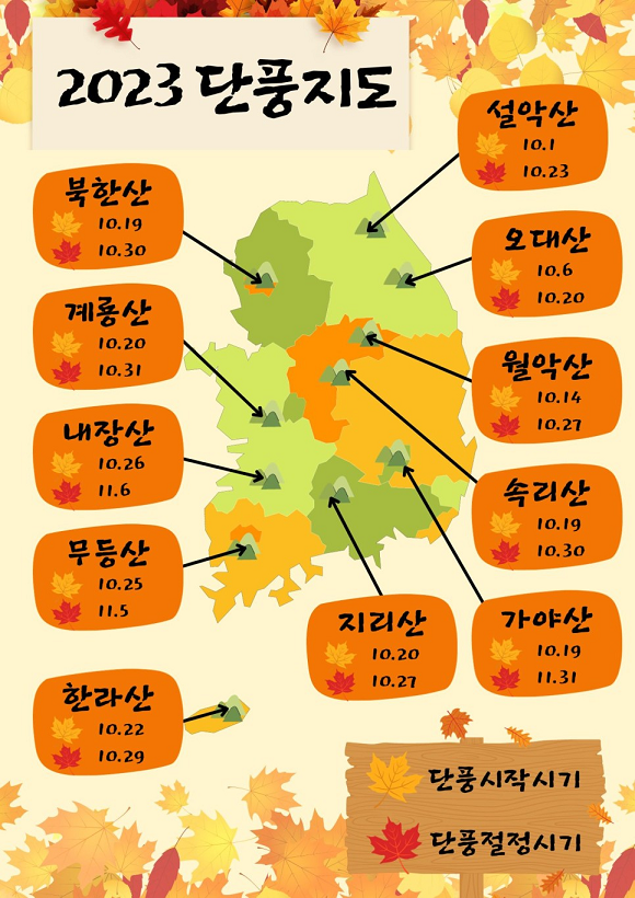 단풍놀이