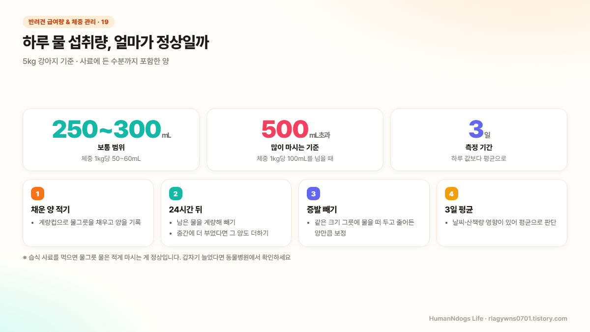 5kg 강아지의 보통 물 섭취 범위 250~300mL, 많이 마시는 기준 500mL 초과, 3일 평균으로 보라는 안내와 채운 양 적기, 24시간 뒤 남은 양 빼기, 증발 보정, 3일 평균 네 단계