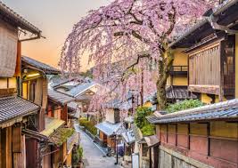 기요미즈데라와니넨자카 사진들..