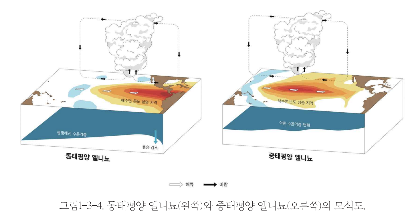엘니뇨