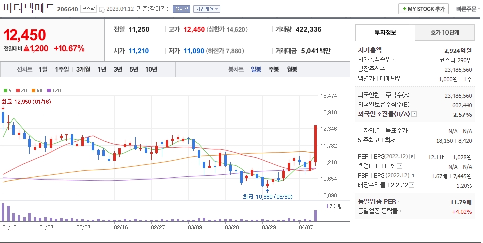 바디텍메드 일봉차트