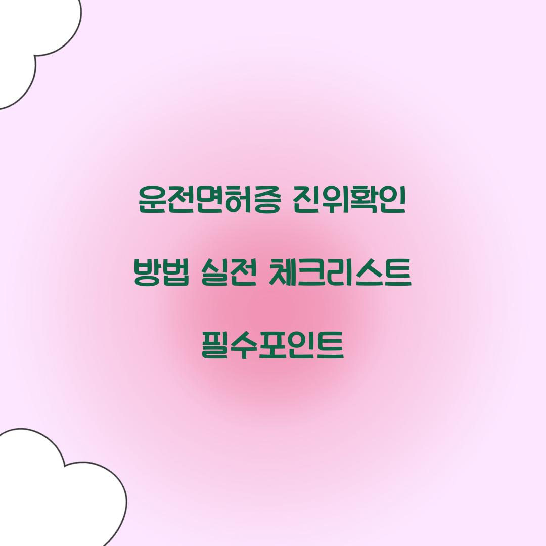 운전면허증 진위확인