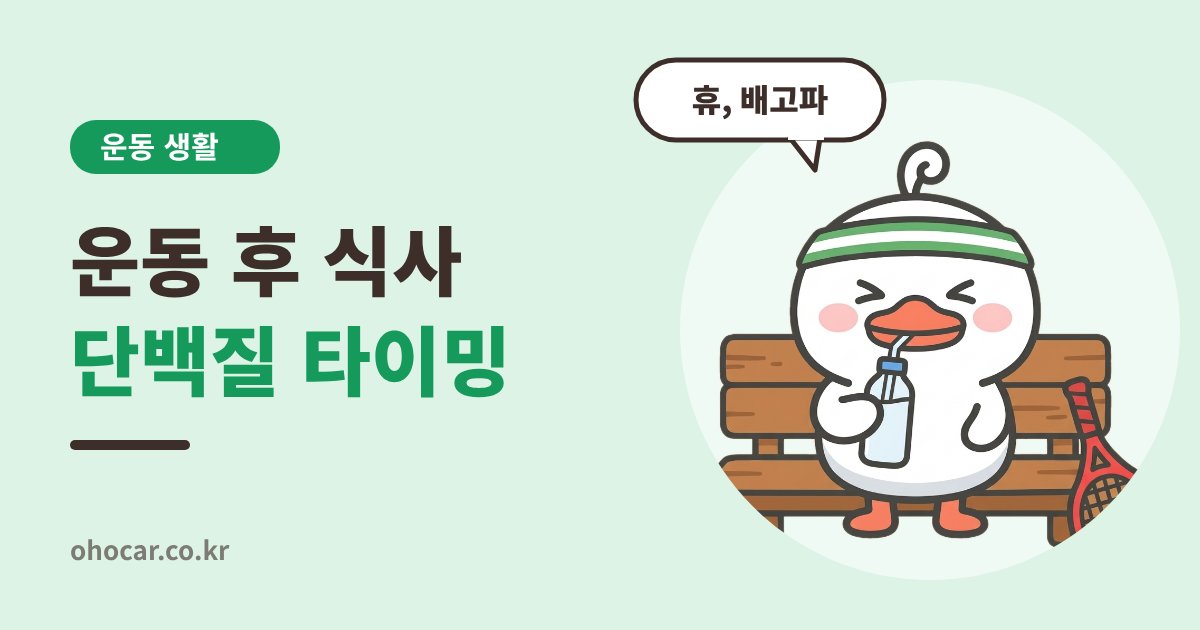 운동 후 단백질 타이밍