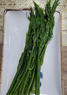 여름두릅