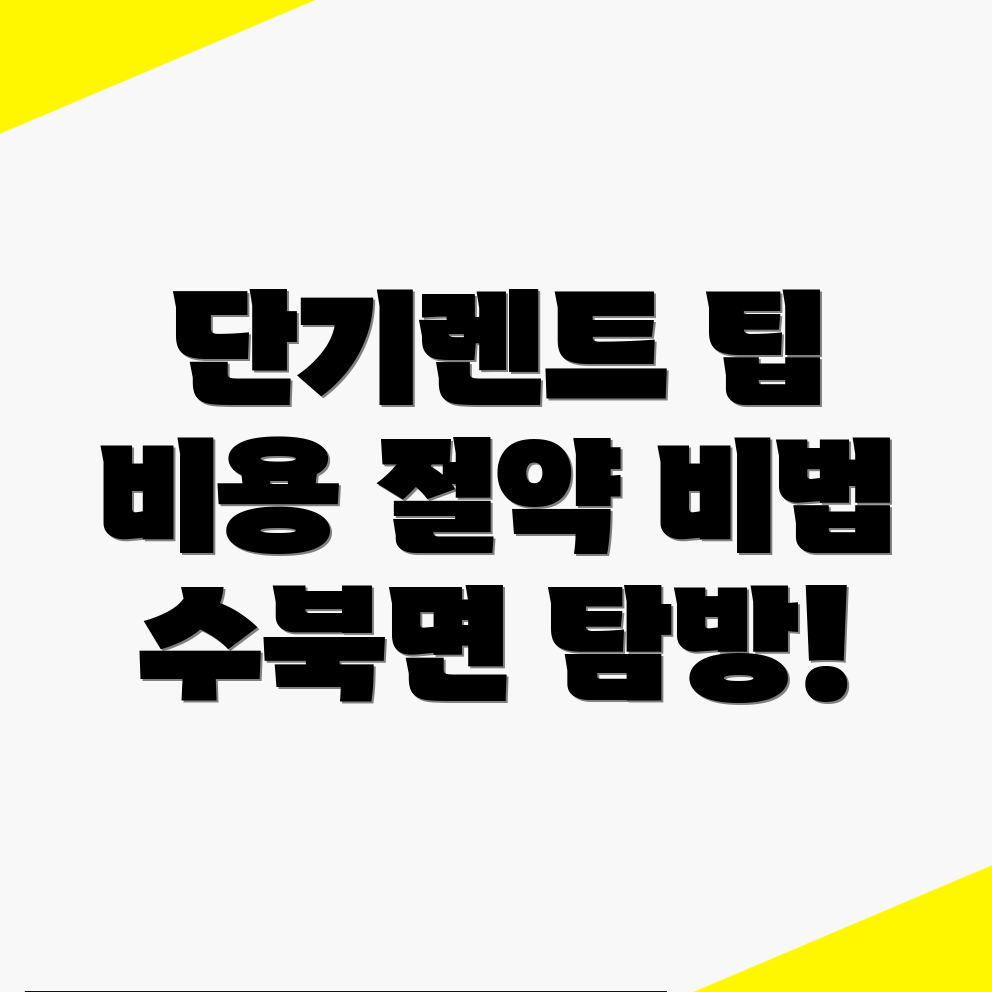 단기렌터카